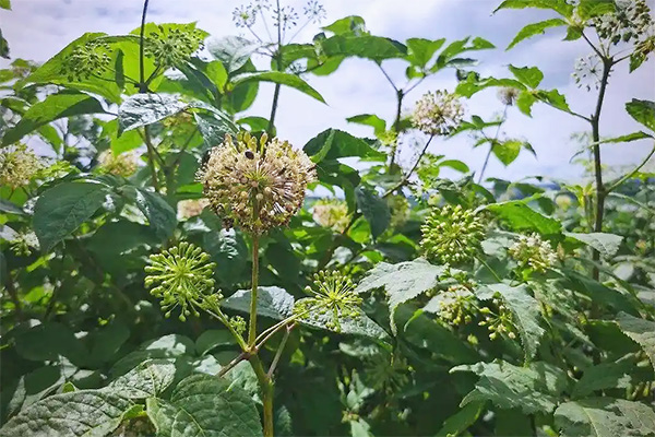 体育平台app线上官方