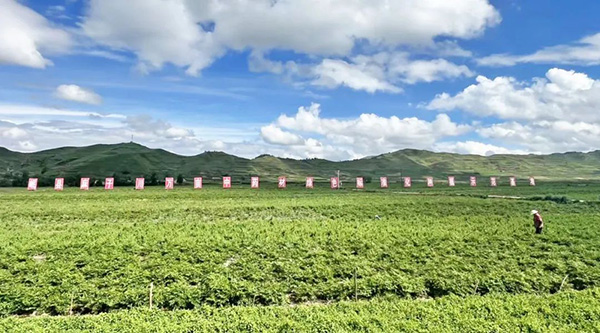 体育平台app线上官方