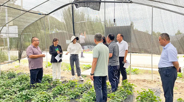 体育平台app线上官方