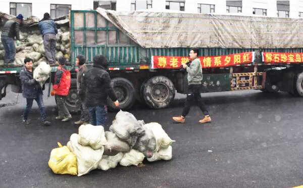 体育平台app线上官方