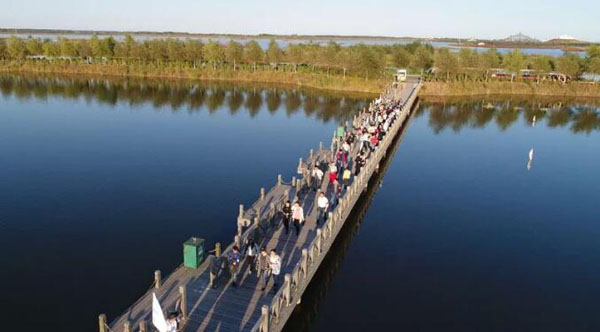 体育平台app线上官方