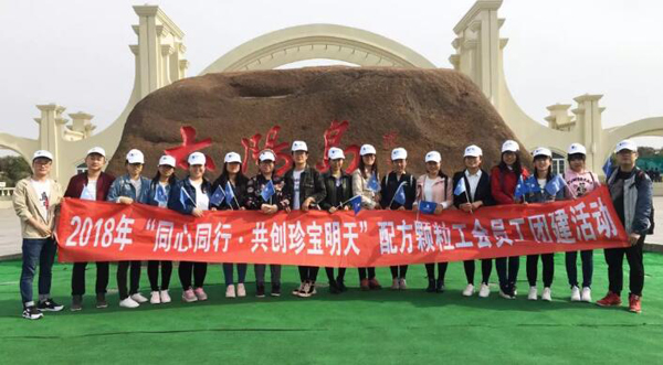 体育平台app线上官方