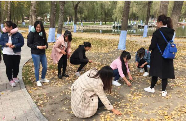 体育平台app线上官方
