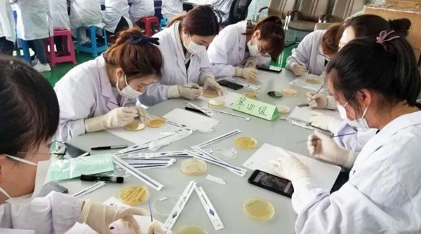 体育平台app线上官方