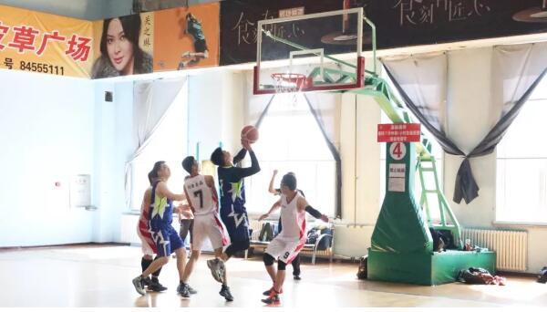 体育平台app线上官方