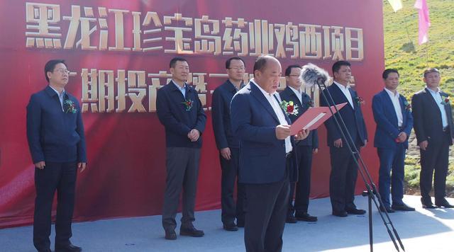 体育平台app线上官方