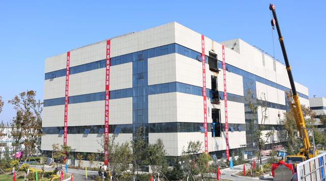 体育平台app线上官方