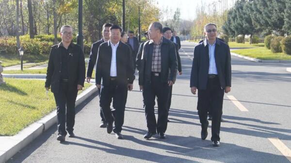 体育平台app线上官方