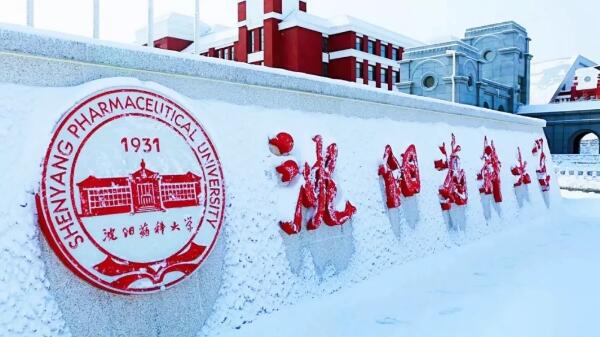 体育平台app线上官方