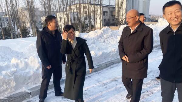 体育平台app线上官方