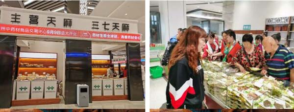 体育平台app线上官方