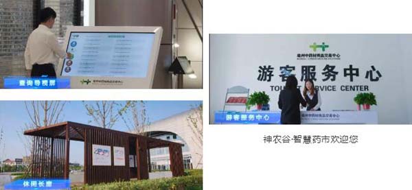 体育平台app线上官方