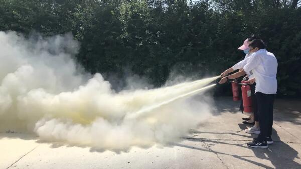 体育平台app线上官方