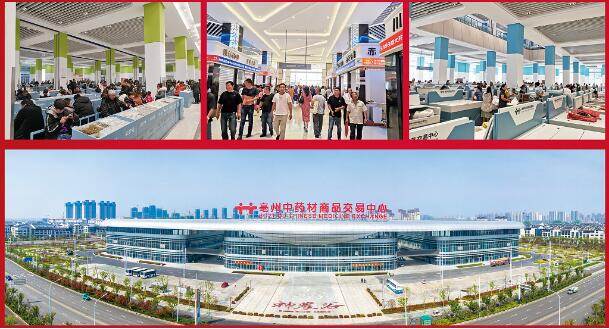 体育平台app线上官方