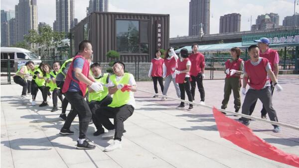 体育平台app线上官方