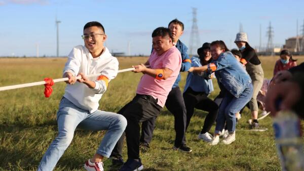 体育平台app线上官方