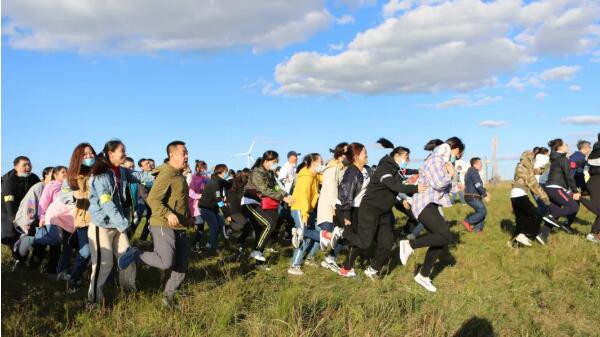 体育平台app线上官方