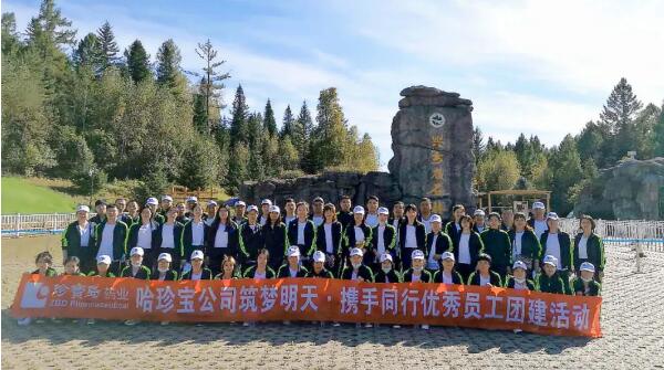 体育平台app线上官方