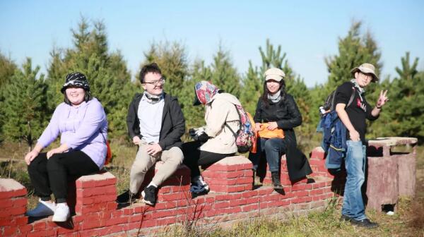 体育平台app线上官方