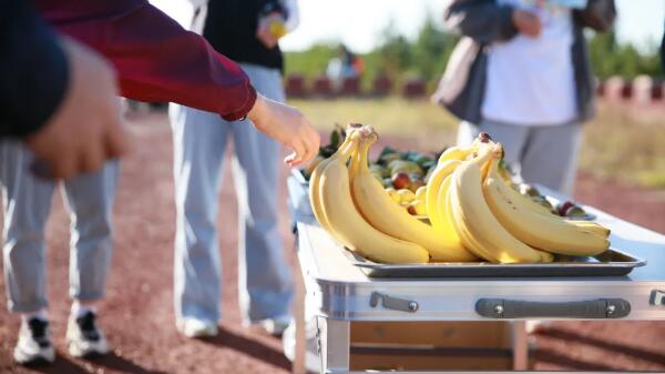 体育平台app线上官方