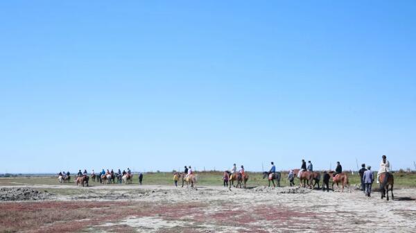 体育平台app线上官方