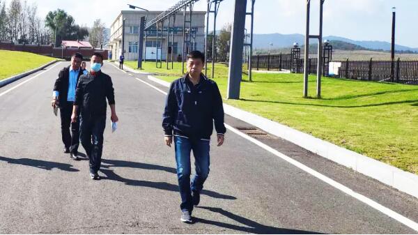 体育平台app线上官方