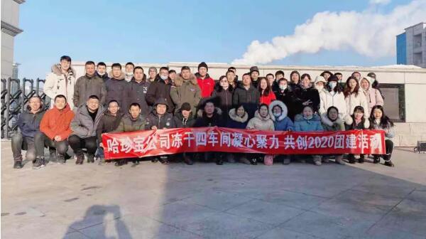 体育平台app线上官方