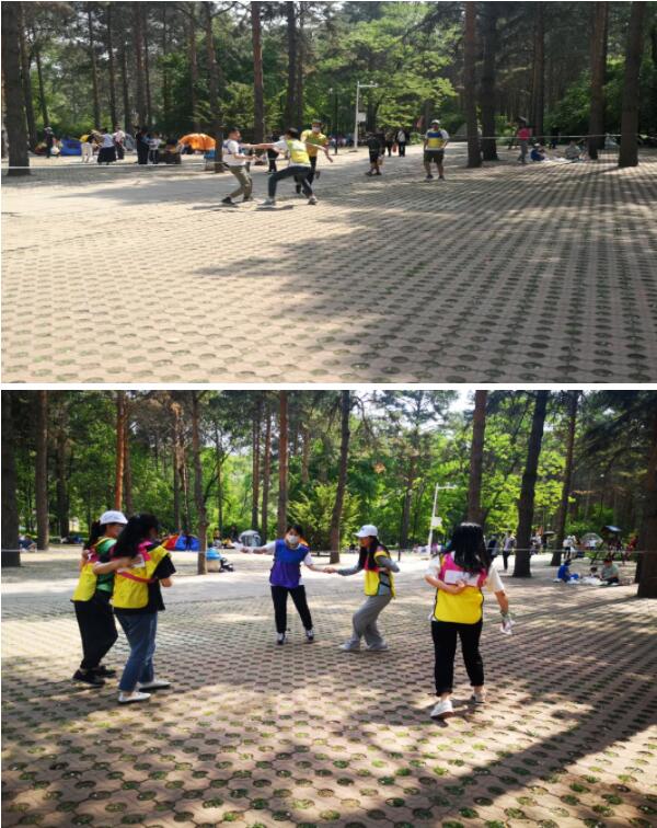 体育平台app线上官方