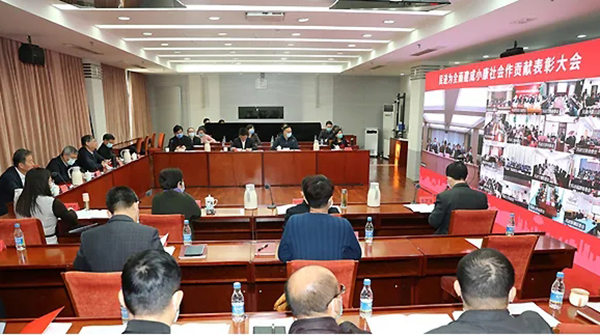 体育平台app线上官方