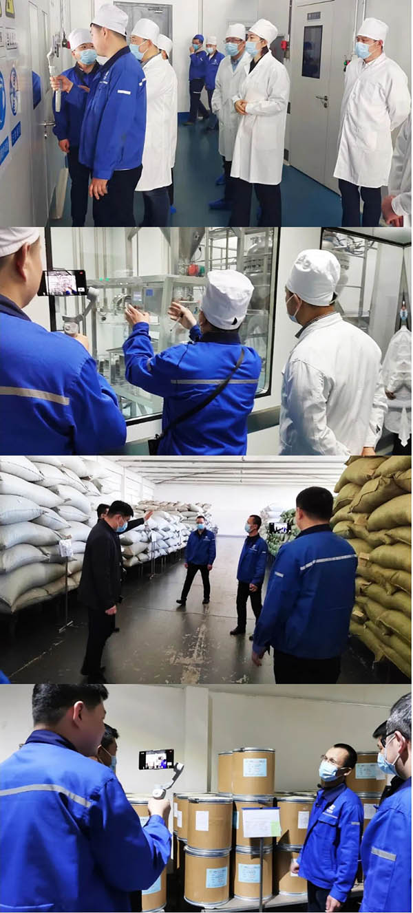 体育平台app线上官方