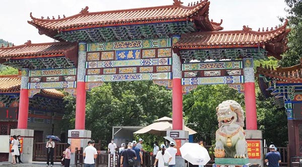 体育平台app线上官方