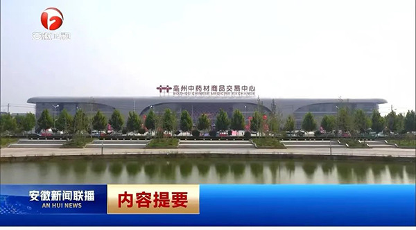 体育平台app线上官方