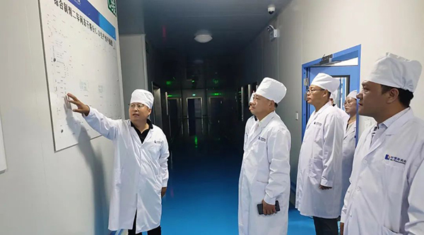 体育平台app线上官方