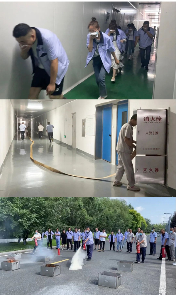 体育平台app线上官方