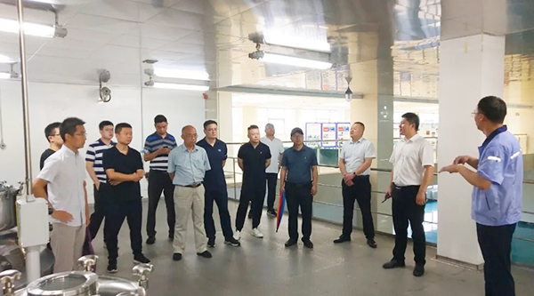 体育平台app线上官方