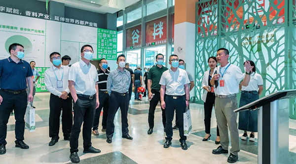 体育平台app线上官方