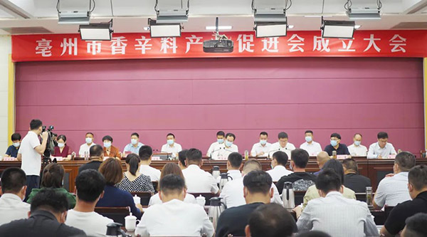 体育平台app线上官方