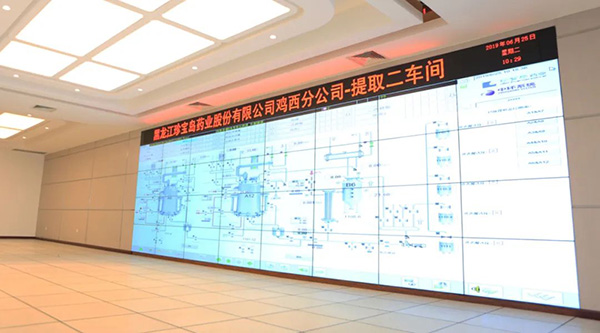 体育平台app线上官方