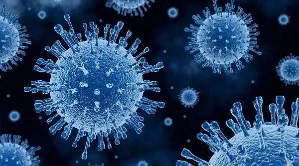 体育平台app线上官方