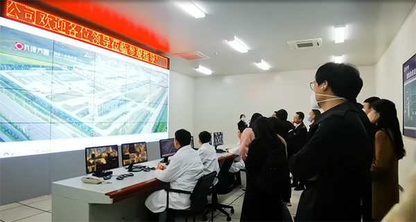 体育平台app线上官方