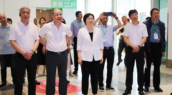 体育平台app线上官方