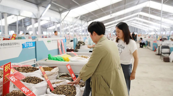 体育平台app线上官方