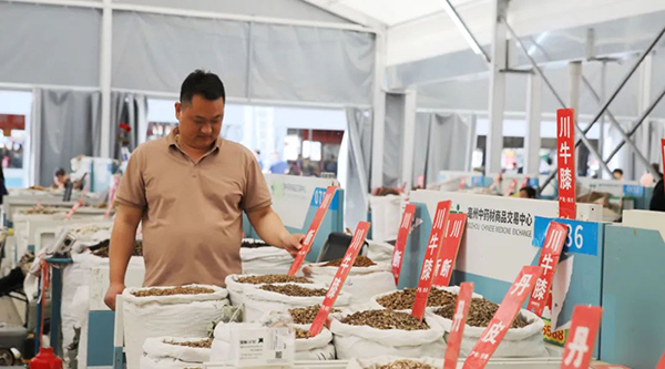 体育平台app线上官方