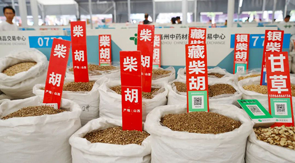 体育平台app线上官方