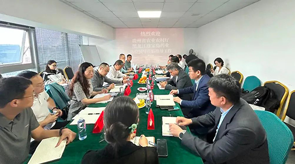 体育平台app线上官方