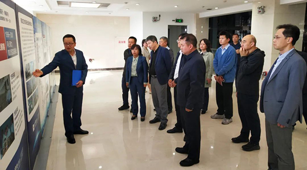 体育平台app线上官方