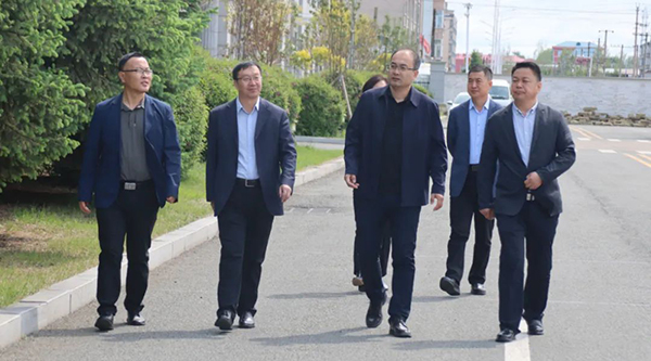 体育平台app线上官方