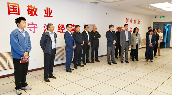 体育平台app线上官方