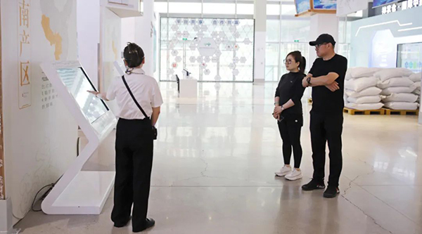 体育平台app线上官方