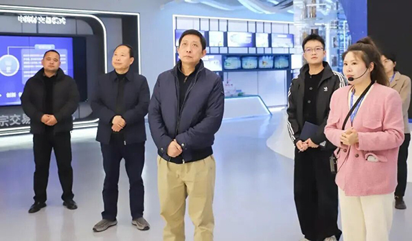 体育平台app线上官方